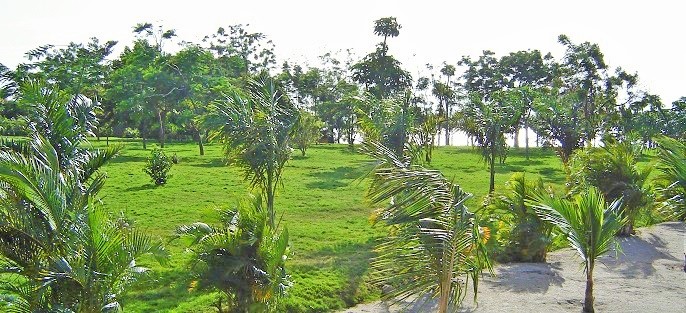 Shaofiq Beautiful Beaches Mwanza - Beach Tourism